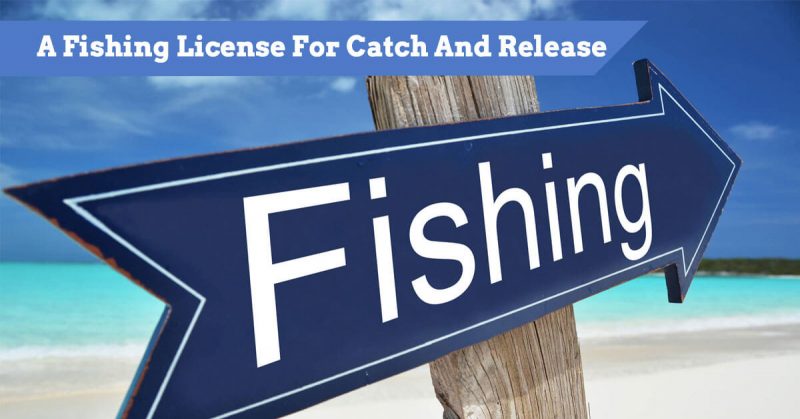 Do You Need A Fishing License For Catch And Release?