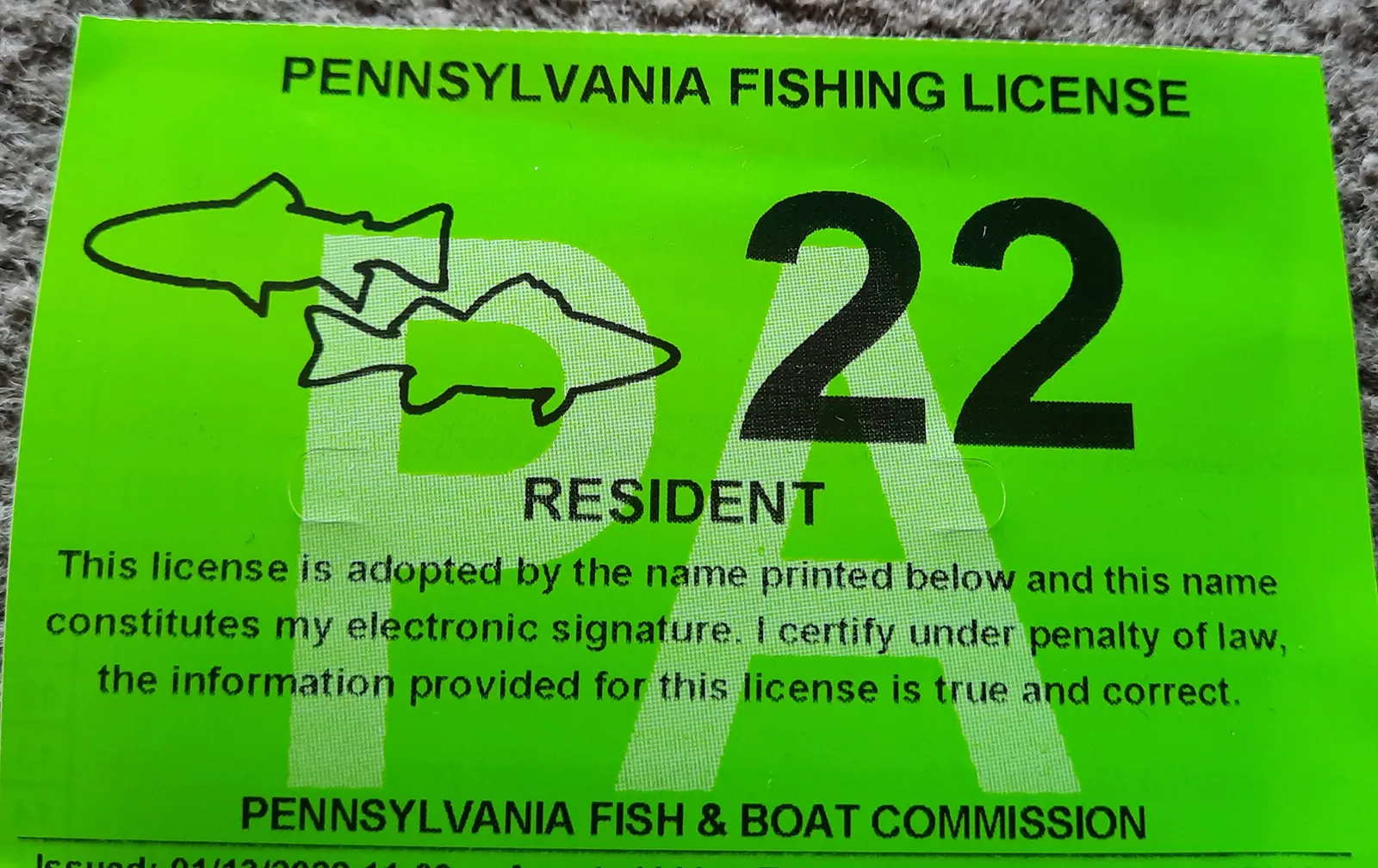What Happens if You Get Caught Fishing Without a License?
