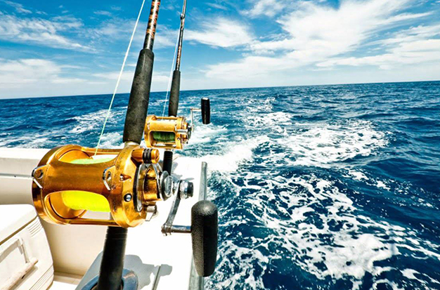 What Is Deep-Sea Fishing? – A Guide For Beginners