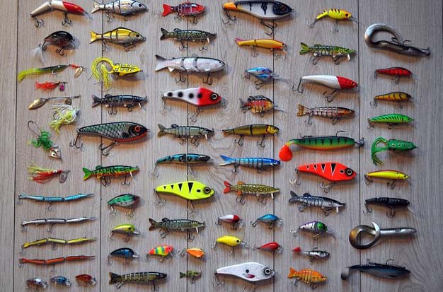 Fishing Hook Sizes And Types: A Complete Guide For Beginners
