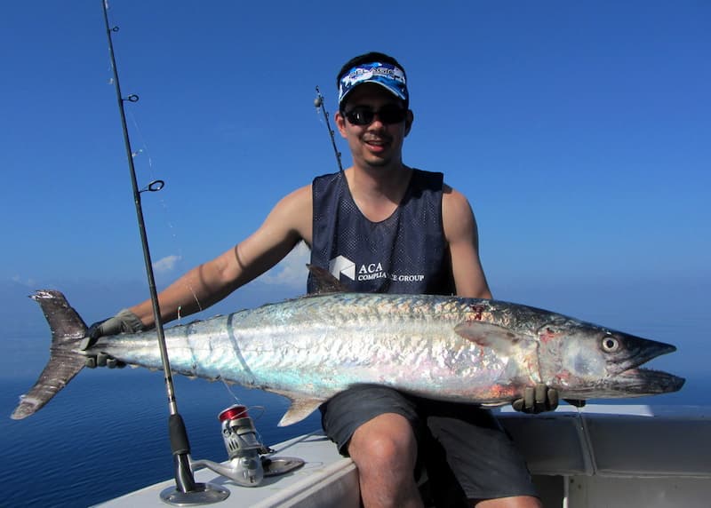 How To Catch Kingfish All You Want To Know