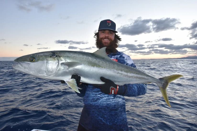 How To Catch Kingfish? All You Want To Know
