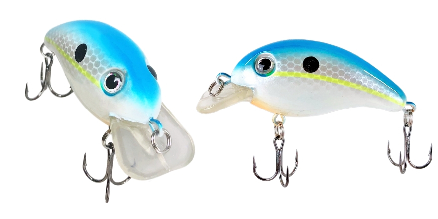 What Is A Crankbait? An Ultimate Guide