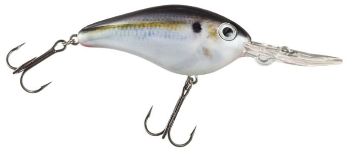 What Is A Crankbait An Ultimate Guide