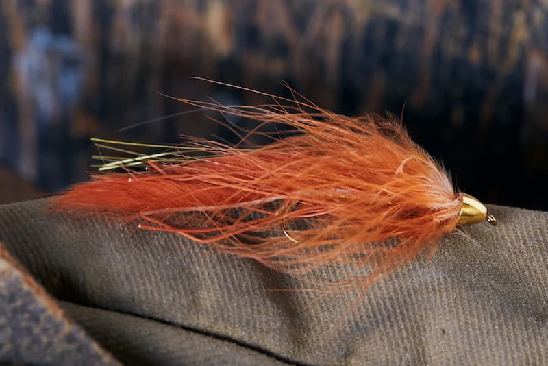 What Is A Fly Fishing Streamer? All You Want To Know