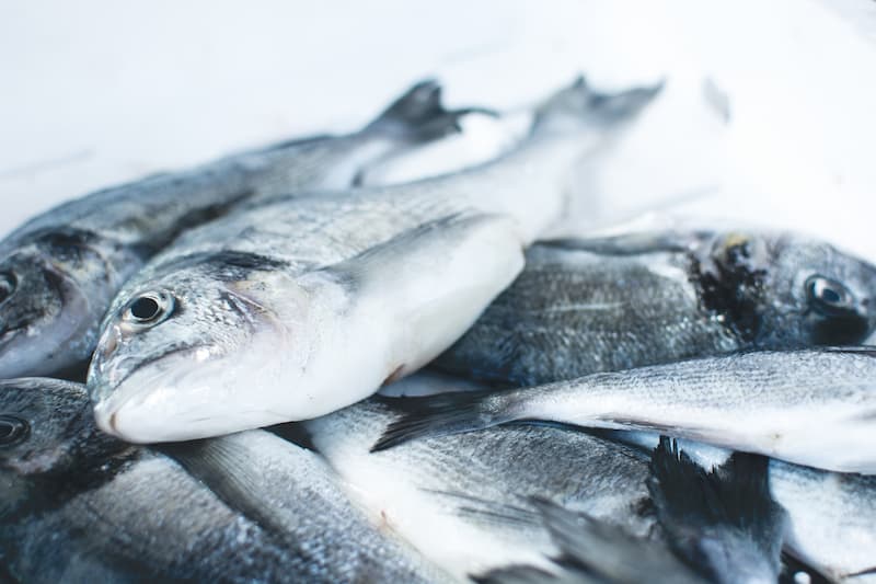How Long Does Fish Last in the Freezer? The Ultimate Guide